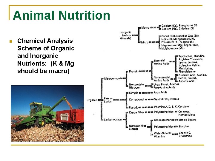 Animal Nutrition n Chemical Analysis Scheme of Organic and Inorganic Nutrients: (K & Mg