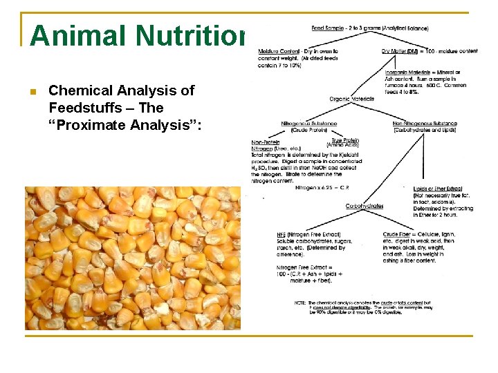 Animal Nutrition n Chemical Analysis of Feedstuffs – The “Proximate Analysis”: 