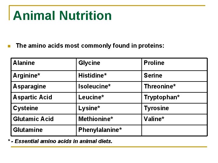 Animal Nutrition n The amino acids most commonly found in proteins: Alanine Glycine Proline