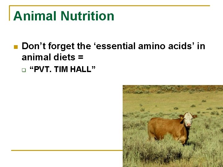 Animal Nutrition n Don’t forget the ‘essential amino acids’ in animal diets = q