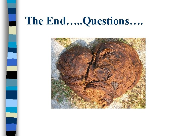 The End…. . Questions…. 