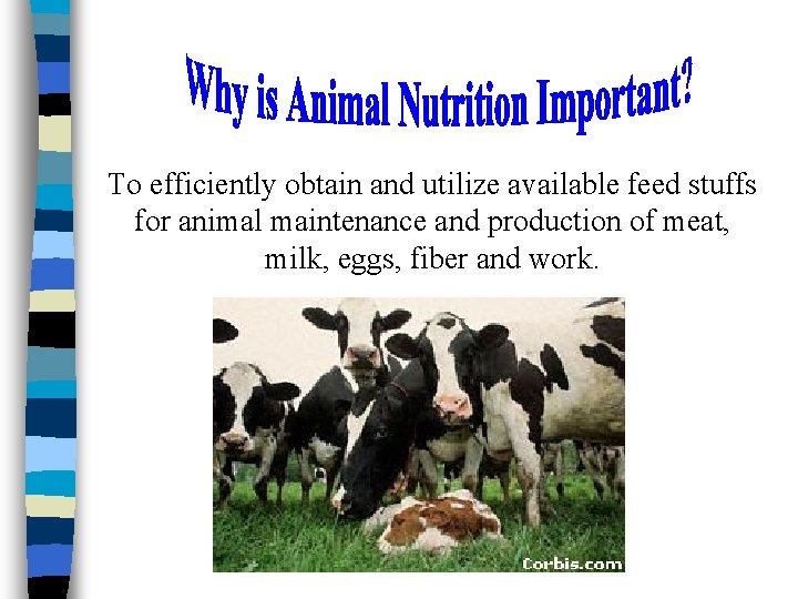 To efficiently obtain and utilize available feed stuffs for animal maintenance and production of