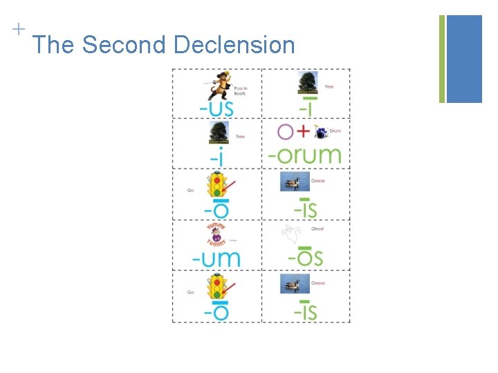 + The Second Declension 