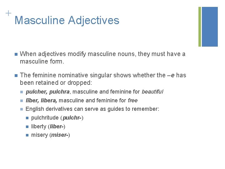 + Masculine Adjectives n When adjectives modify masculine nouns, they must have a masculine