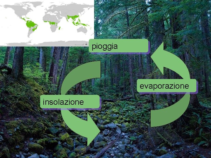 pioggia evaporazione insolazione 
