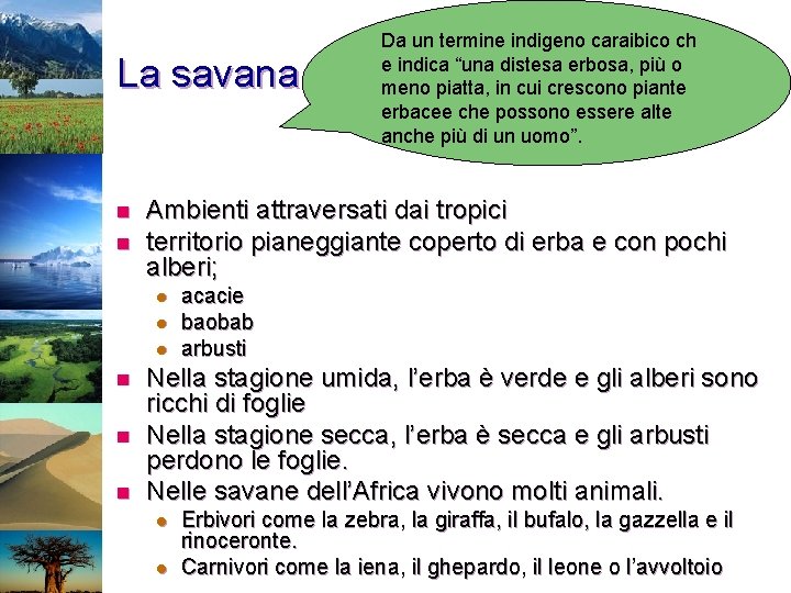 La savana n n Ambienti attraversati dai tropici territorio pianeggiante coperto di erba e