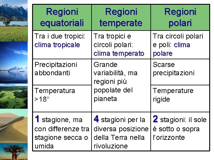 Regioni equatoriali Regioni temperate Regioni polari Tra i due tropici: clima tropicale Tra tropici