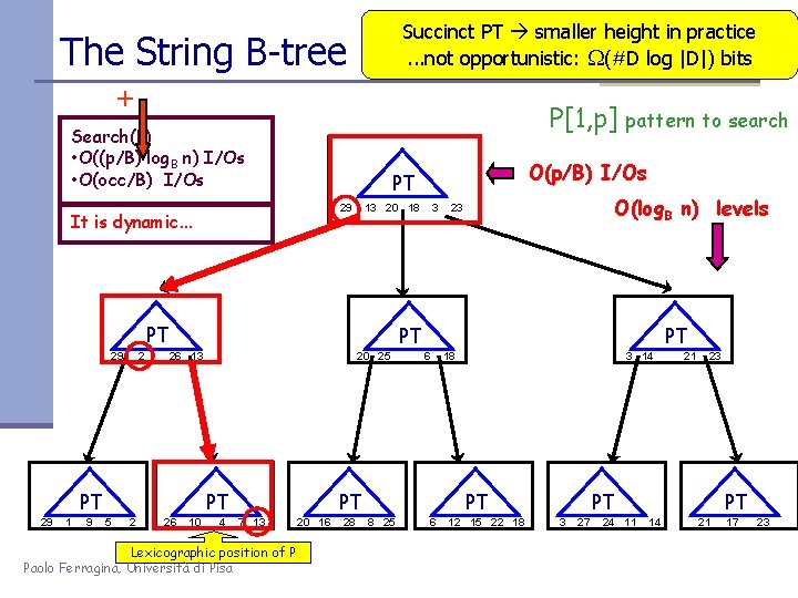 Succinct PT smaller height in practice. . . not opportunistic: (#D log |D|) bits