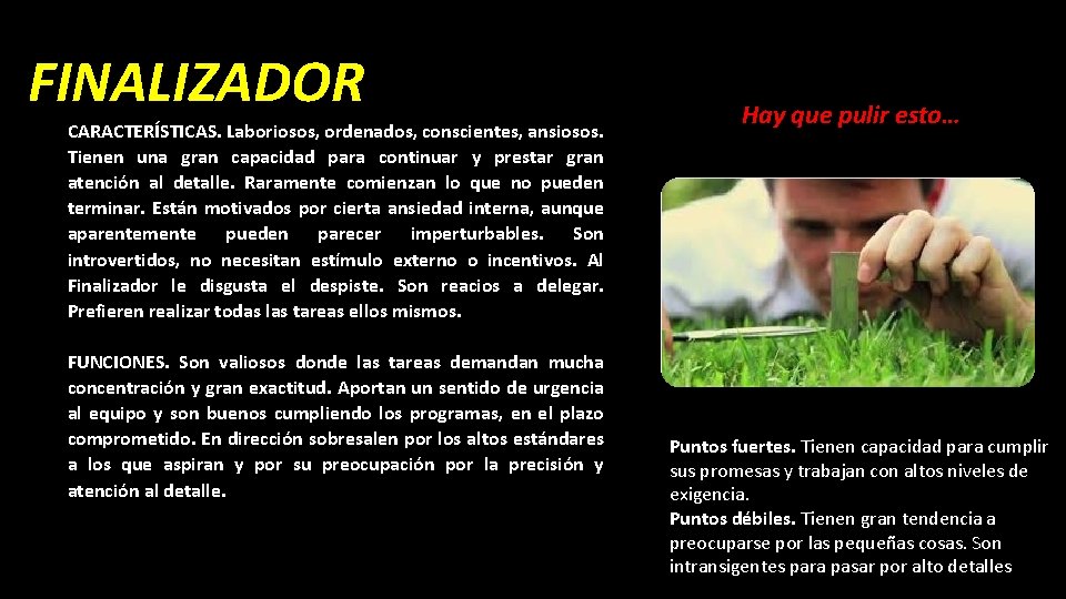 FINALIZADOR CARACTERÍSTICAS. Laboriosos, ordenados, conscientes, ansiosos. Tienen una gran capacidad para continuar y prestar