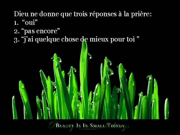 Dieu ne donne que trois réponses à la prière: 1. “oui" 2. “pas encore"