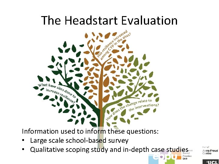 The Headstart Evaluation Information used to inform these questions: • Large scale school-based survey