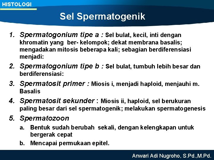 HISTOLOGI Sel Spermatogenik 1. Spermatogonium tipe a : Sel bulat, kecil, inti dengan khromatin