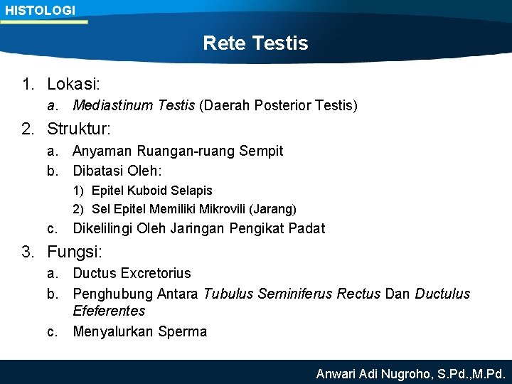 HISTOLOGI Rete Testis 1. Lokasi: a. Mediastinum Testis (Daerah Posterior Testis) 2. Struktur: a.