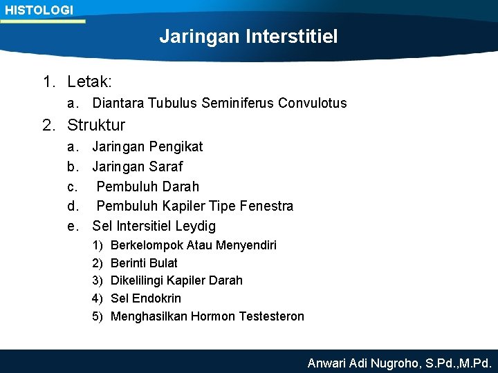 HISTOLOGI Jaringan Interstitiel 1. Letak: a. Diantara Tubulus Seminiferus Convulotus 2. Struktur a. Jaringan