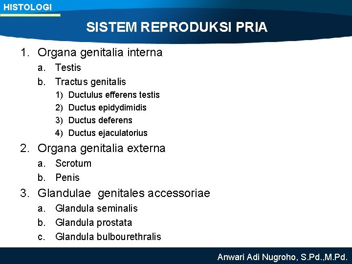HISTOLOGI SISTEM REPRODUKSI PRIA 1. Organa genitalia interna a. Testis b. Tractus genitalis 1)