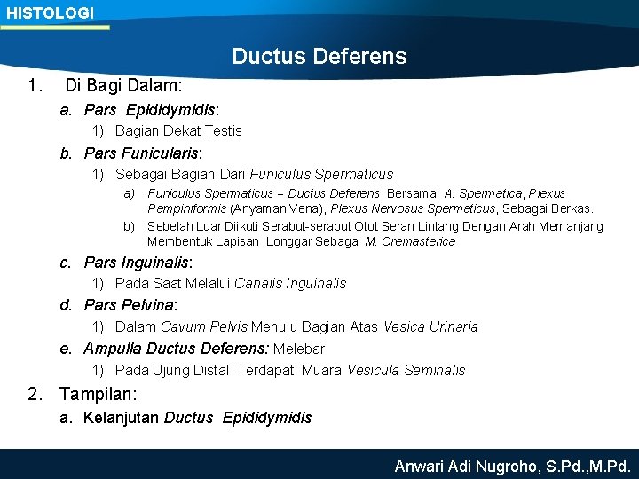 HISTOLOGI Ductus Deferens 1. Di Bagi Dalam: a. Pars Epididymidis: 1) Bagian Dekat Testis