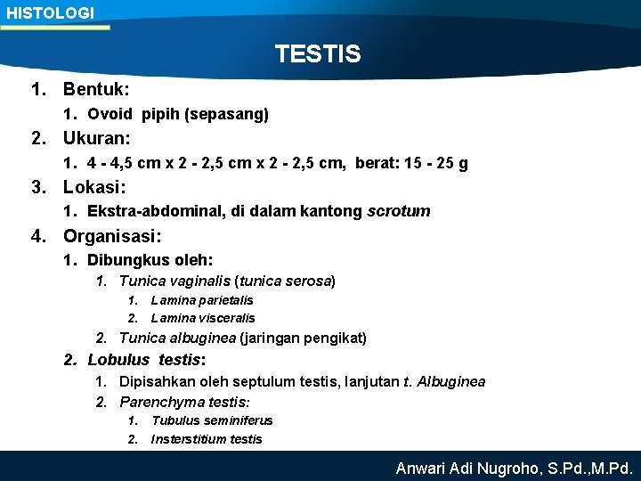 HISTOLOGI TESTIS 1. Bentuk: 1. Ovoid pipih (sepasang) 2. Ukuran: 1. 4 - 4,