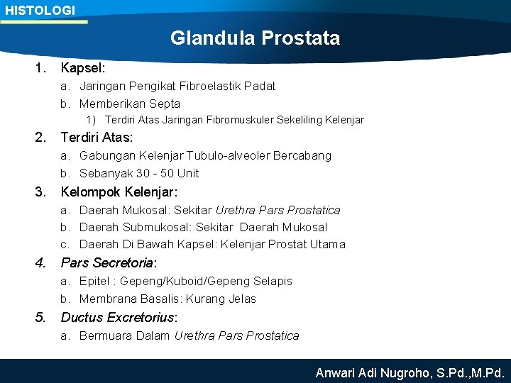 HISTOLOGI Glandula Prostata 1. Kapsel: a. Jaringan Pengikat Fibroelastik Padat b. Memberikan Septa 1)