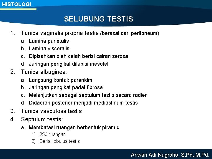 HISTOLOGI SELUBUNG TESTIS 1. Tunica vaginalis propria testis (berasal dari peritoneum) a. b. c.