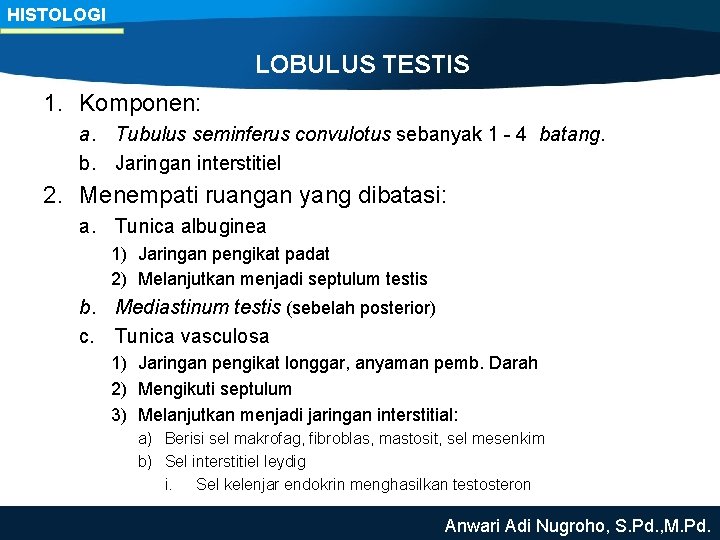 HISTOLOGI LOBULUS TESTIS 1. Komponen: a. Tubulus seminferus convulotus sebanyak 1 - 4 batang.