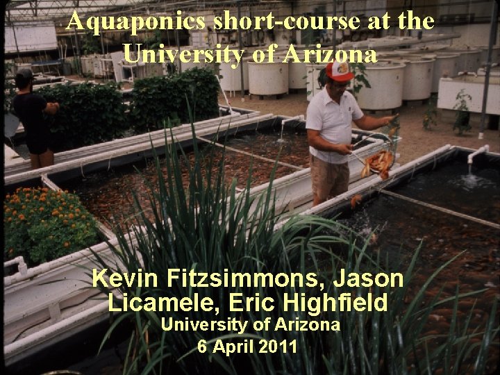 Aquaponics short-course at the University of Arizona Kevin Fitzsimmons, Jason Licamele, Eric Highfield University