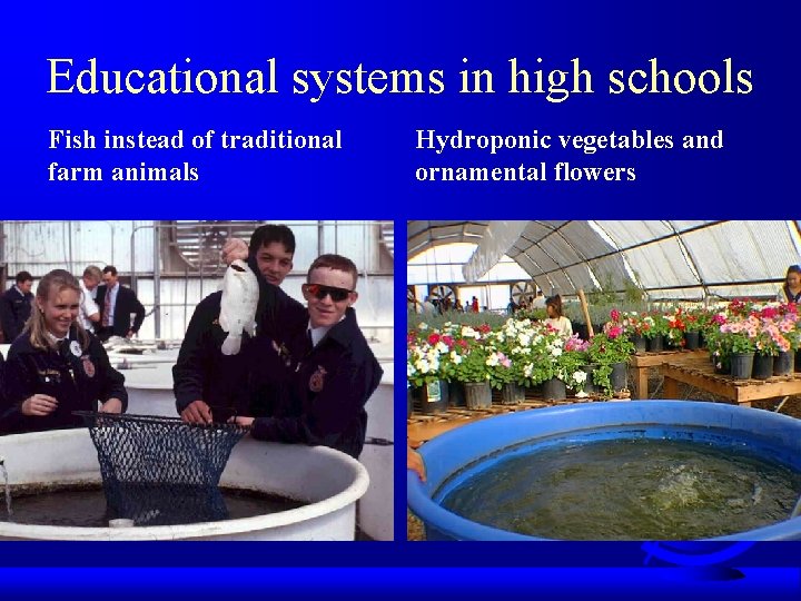 Educational systems in high schools Fish instead of traditional farm animals Hydroponic vegetables and