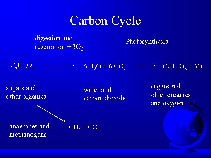 Carbon Cycle digestion and respiration + 3 O 2 C 6 H 12 O