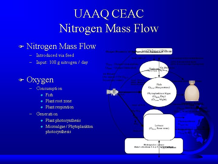 UAAQ CEAC Nitrogen Mass Flow F Nitrogen Mass Flow – Introduced via feed –