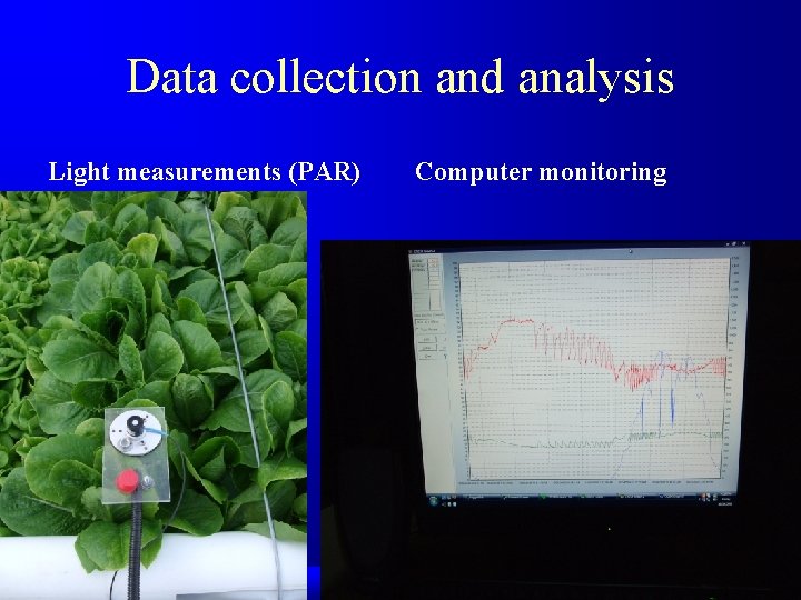 Data collection and analysis Light measurements (PAR) Computer monitoring 