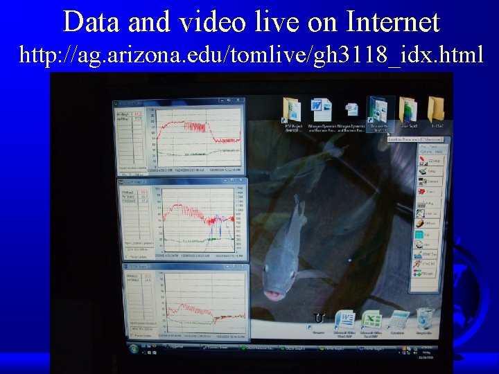 Data and video live on Internet http: //ag. arizona. edu/tomlive/gh 3118_idx. html 