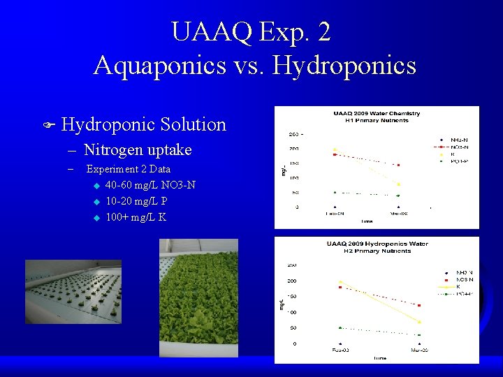 UAAQ Exp. 2 Aquaponics vs. Hydroponics F Hydroponic Solution – Nitrogen uptake – Experiment