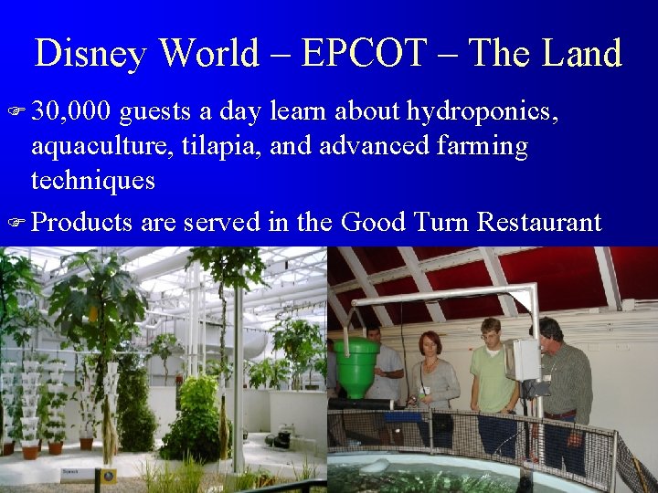 Disney World – EPCOT – The Land F 30, 000 guests a day learn