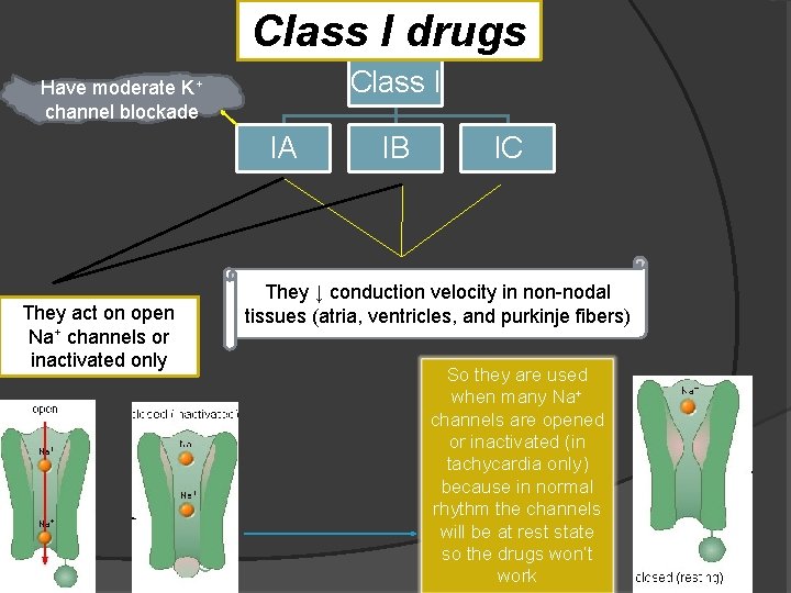 Class I drugs Class I Have moderate K+ channel blockade IA They act on