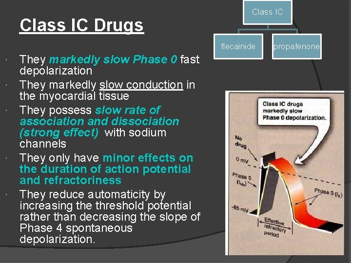 Class IC Drugs Class IC flecainide They markedly slow Phase 0 fast depolarization They