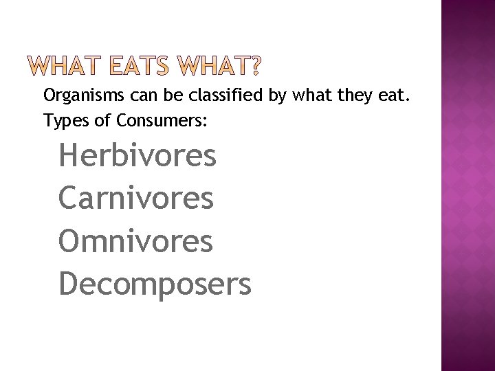 � Organisms can be classified by what they eat. � Types of Consumers: •