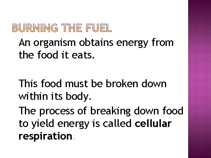�An organism obtains energy from the food it eats. �This food must be broken