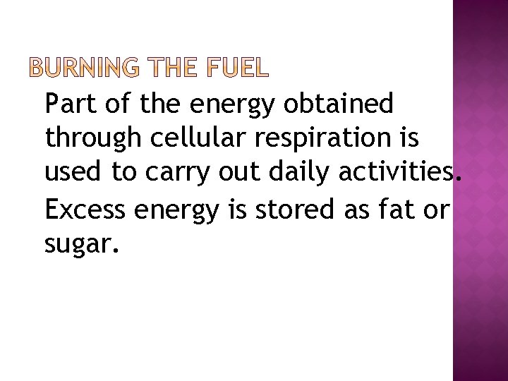 �Part of the energy obtained through cellular respiration is used to carry out daily