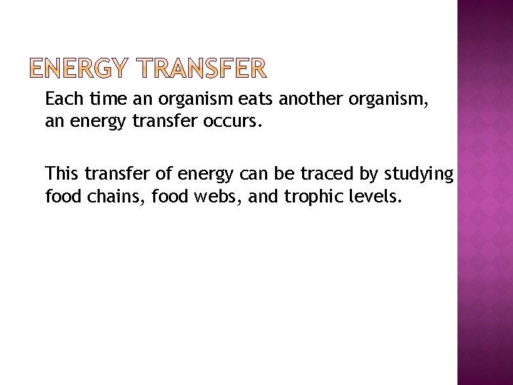 � Each time an organism eats another organism, an energy transfer occurs. � This
