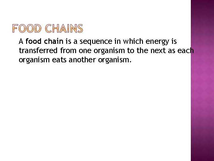 �A food chain is a sequence in which energy is transferred from one organism