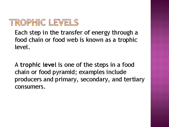 � Each step in the transfer of energy through a food chain or food