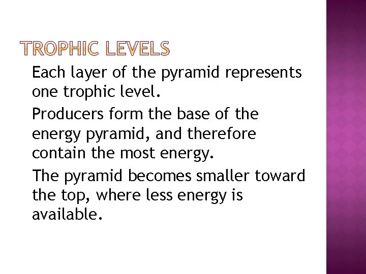 �Each layer of the pyramid represents one trophic level. �Producers form the base of