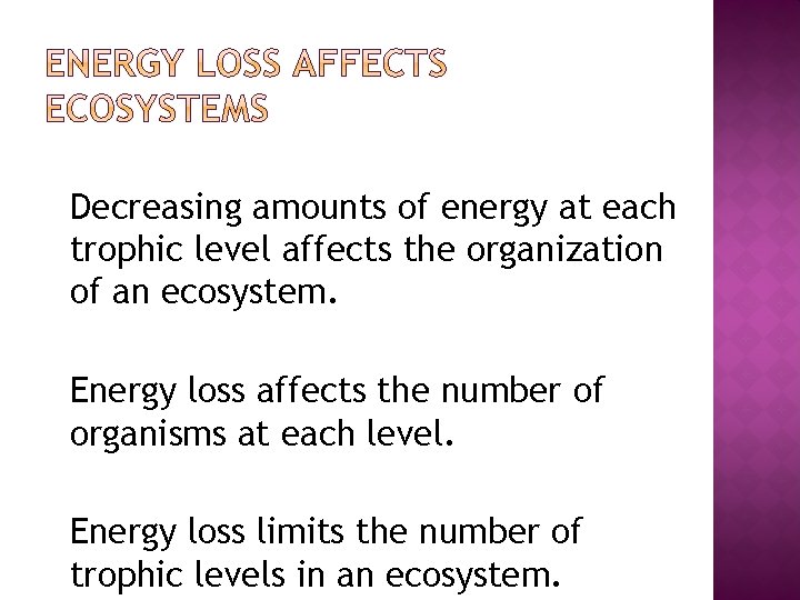 �Decreasing amounts of energy at each trophic level affects the organization of an ecosystem.