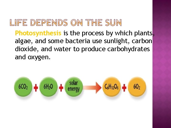 � Photosynthesis is the process by which plants, algae, and some bacteria use sunlight,