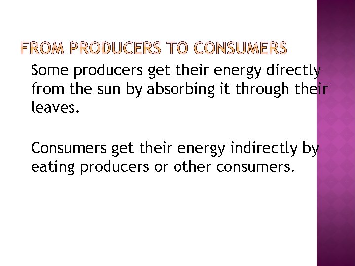 �Some producers get their energy directly from the sun by absorbing it through their