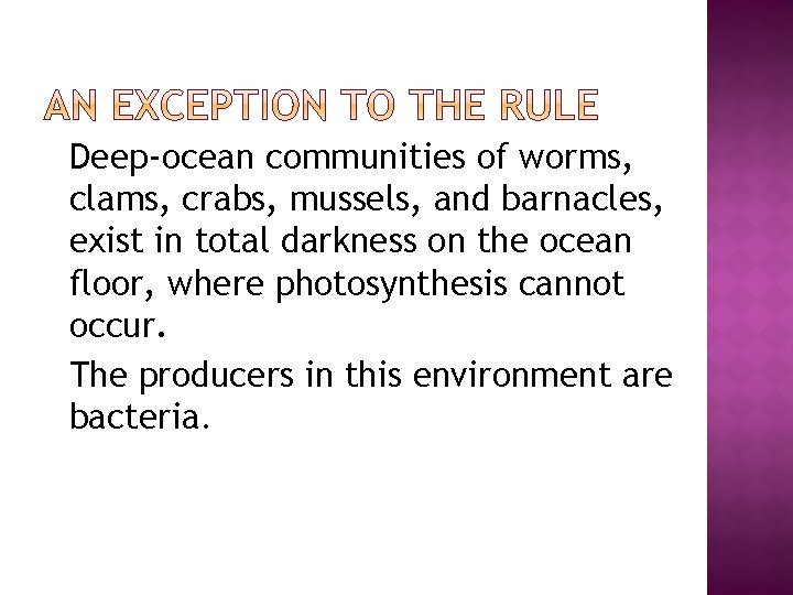 �Deep-ocean communities of worms, clams, crabs, mussels, and barnacles, exist in total darkness on