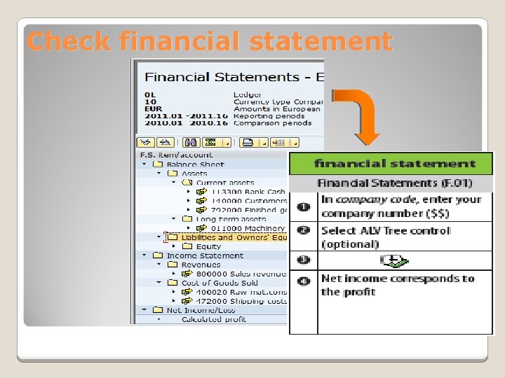Check financial statement 