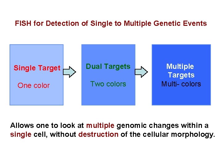 FISH for Detection of Single to Multiple Genetic Events Single Target One color Dual
