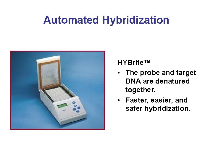 Automated Hybridization HYBrite™ • The probe and target DNA are denatured together. • Faster,