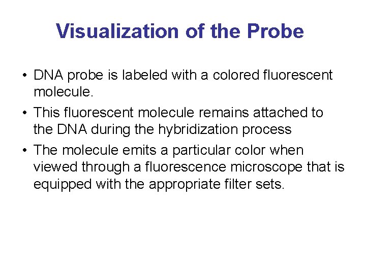 Visualization of the Probe • DNA probe is labeled with a colored fluorescent molecule.