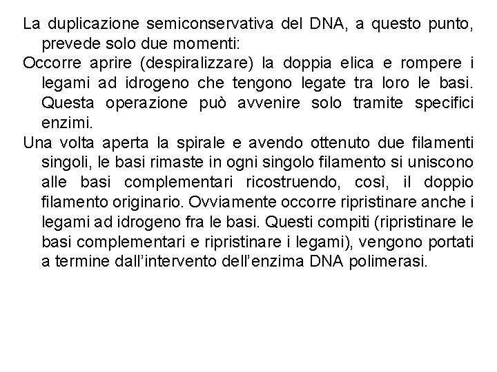 La duplicazione semiconservativa del DNA, a questo punto, prevede solo due momenti: Occorre aprire